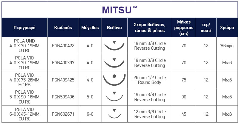 Τεχνικά Χαρακτηριστικά ράμματος MITSU